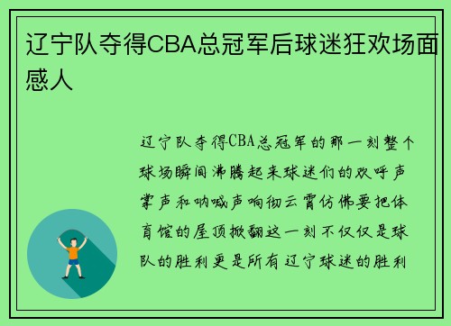 辽宁队夺得CBA总冠军后球迷狂欢场面感人
